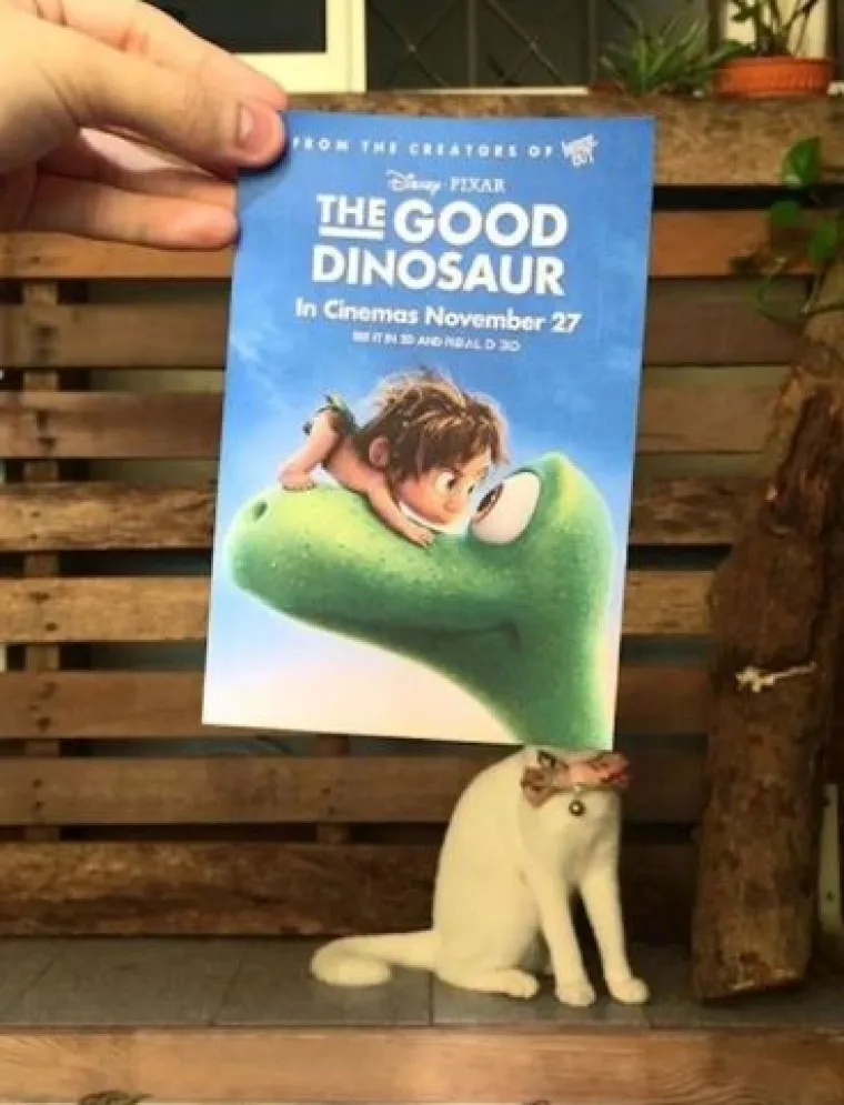 Ekipa je savr&scaron;eno uklopila svoje mačke s plakatima, pogledajte kako