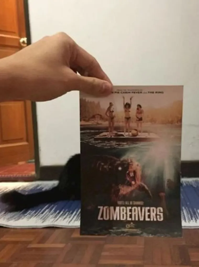 Ekipa je savr&scaron;eno uklopila svoje mačke s plakatima, pogledajte kako