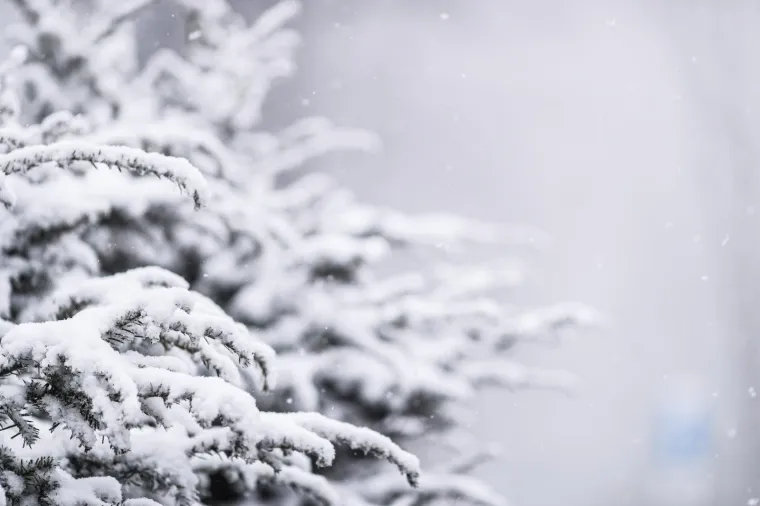 Zimske radosti na Sljemenu, pao je prvi snijeg!
