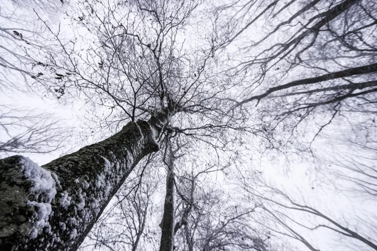 Zimske radosti na Sljemenu, pao je prvi snijeg!