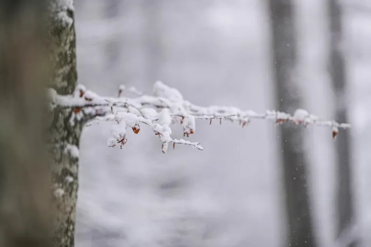 Zimske radosti na Sljemenu, pao je prvi snijeg!