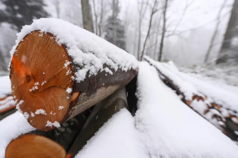 Zimske radosti na Sljemenu, pao je prvi snijeg!