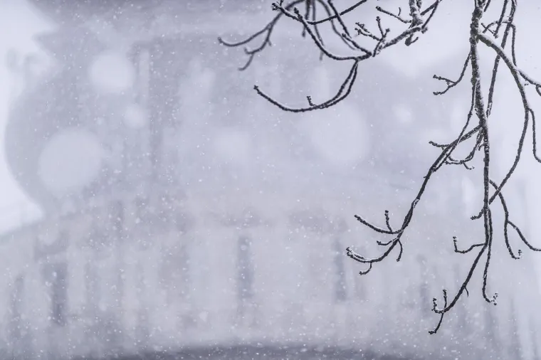 Zimske radosti na Sljemenu, pao je prvi snijeg!