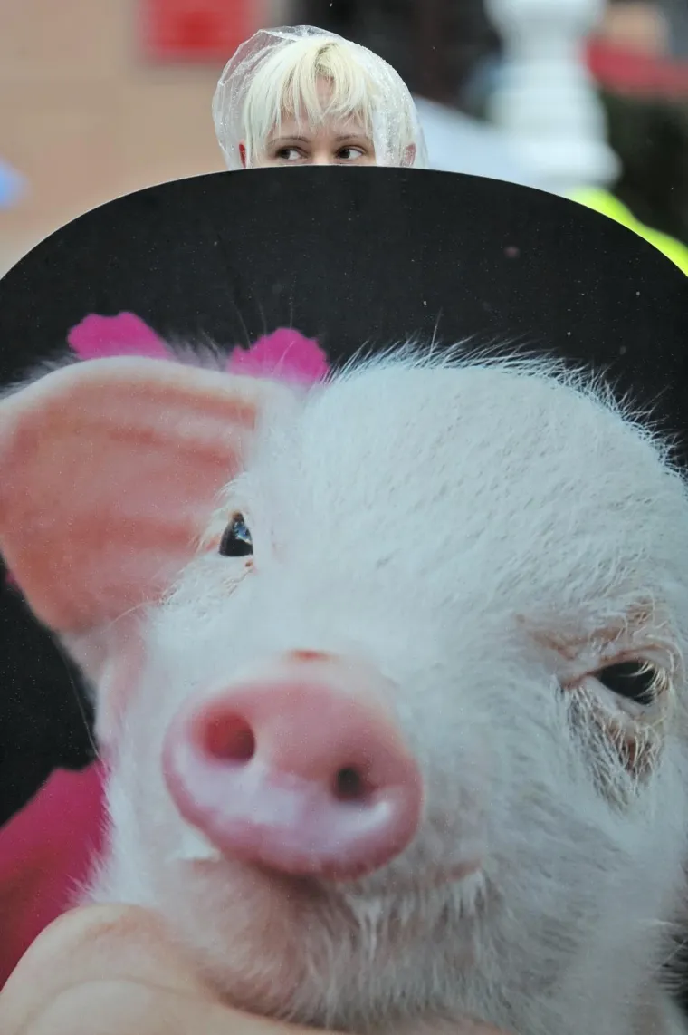 VEGANI IZVELI PERFORMANS NA TRGU BANA JELAČIĆA: 'Ni bik Jerry ni ostale životinje ne žele u klaonice'