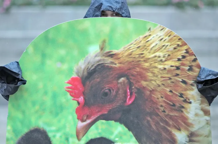 VEGANI IZVELI PERFORMANS NA TRGU BANA JELAČIĆA: 'Ni bik Jerry ni ostale životinje ne žele u klaonice'