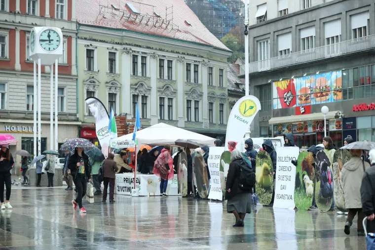 VEGANI IZVELI PERFORMANS NA TRGU BANA JELAČIĆA: 'Ni bik Jerry ni ostale životinje ne žele u klaonice'