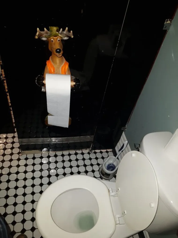 OZBILJNO POREMEĆENI ZAHODI: Savr&scaron;eno su uredni, ali ćete i dalje razmisliti je li vam ba&scaron; toliko sila