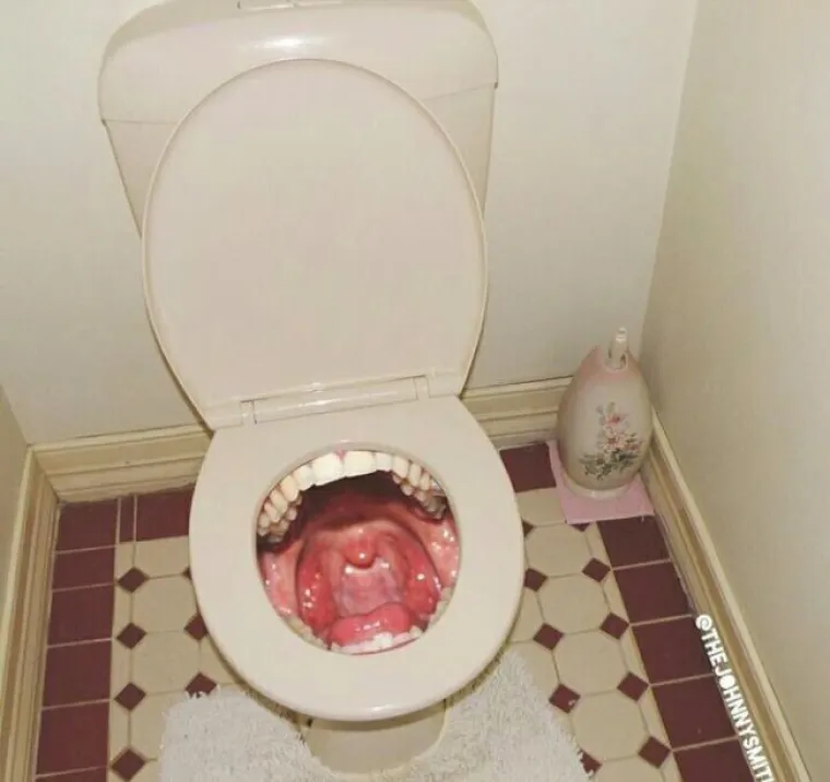 OZBILJNO POREMEĆENI ZAHODI: Savr&scaron;eno su uredni, ali ćete i dalje razmisliti je li vam ba&scaron; toliko sila