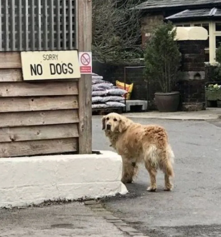 Nitko neće njima govorit': Urnebesne fotke ljudi koji su na jedinstven način prekr&scaron;ili zakone