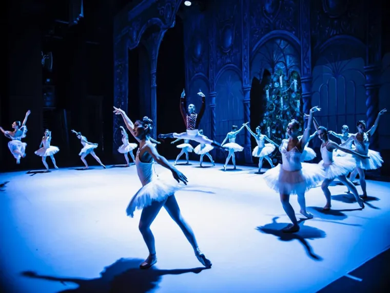 Ora&scaron;ar u KD Vatroslava Lisinskog