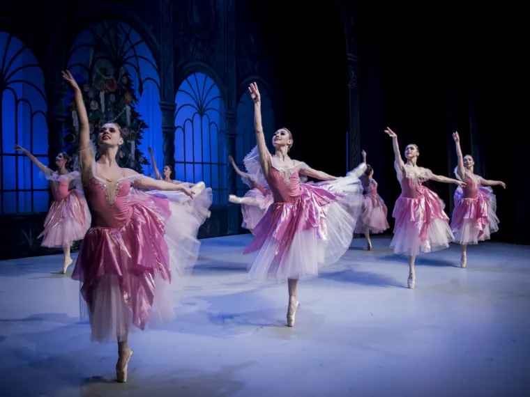 Ora&scaron;ar u KD Vatroslava Lisinskog