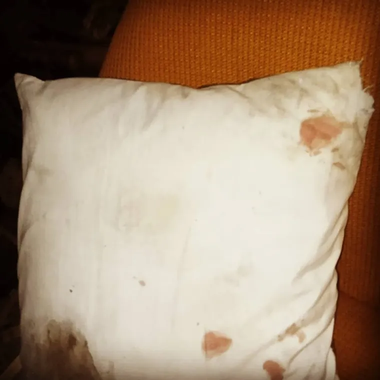 Slike užasa! Migranti provalili u kuću u Fužinama, policija ih uhvatila: Napravili su veliku &scaron;tetu