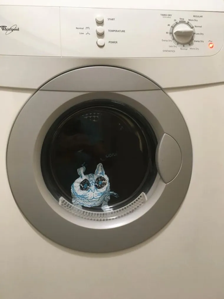 Osobito stra&scaron;no ako imate mačku