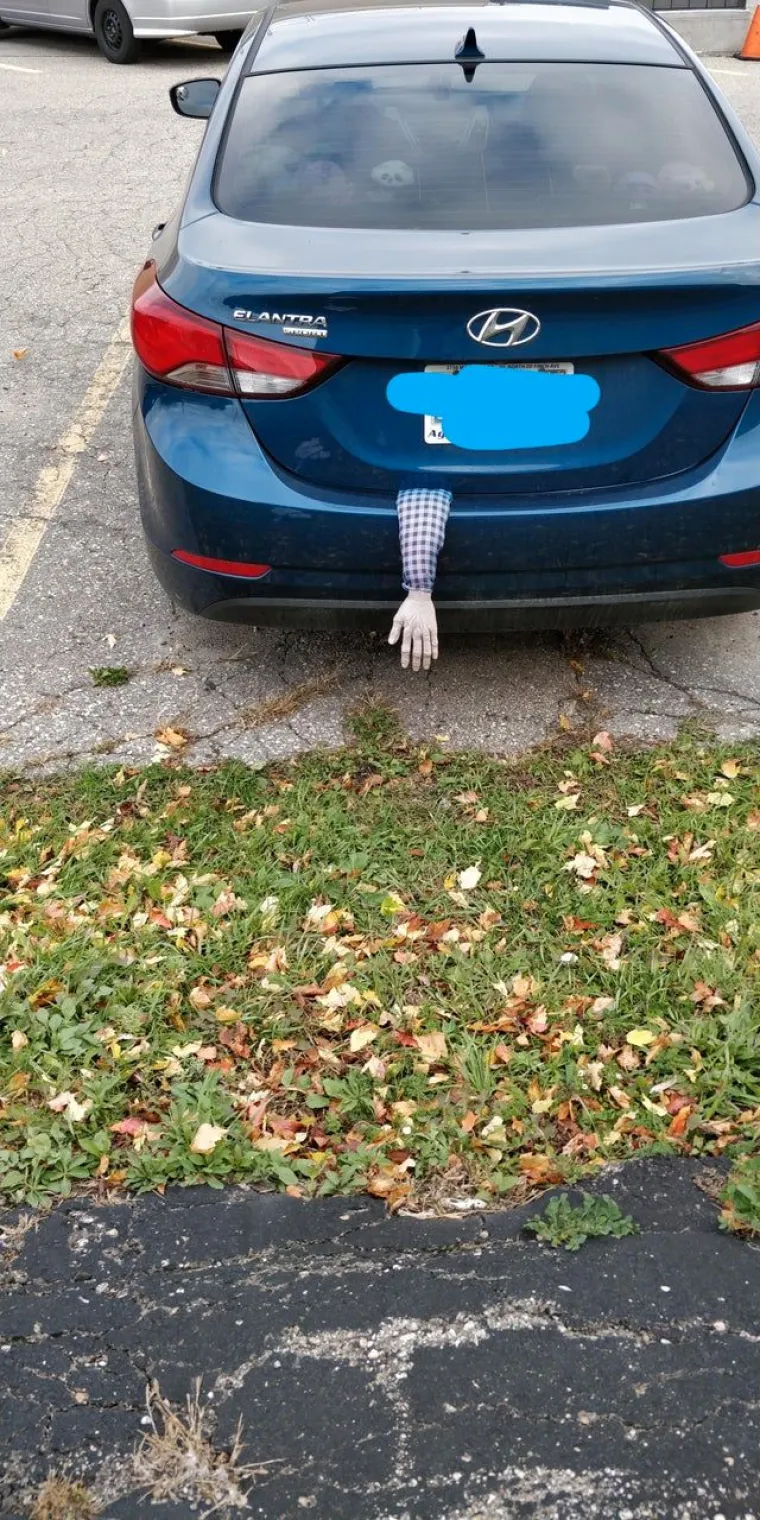 Pa, ako ba&scaron; želite da vas zaustave specijalci, ovako ukrasite auto