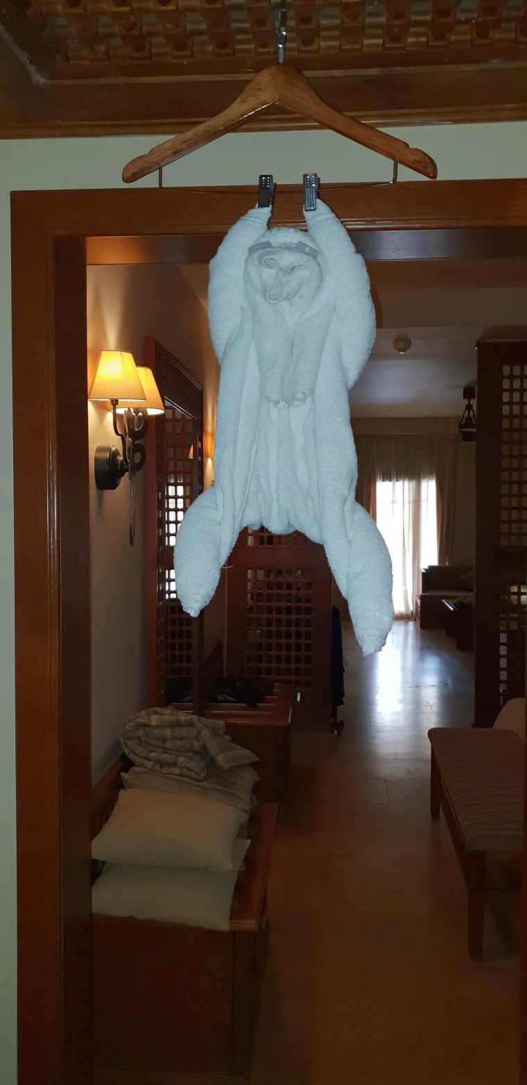 Samo je ostavila su&scaron;iti kombinezon