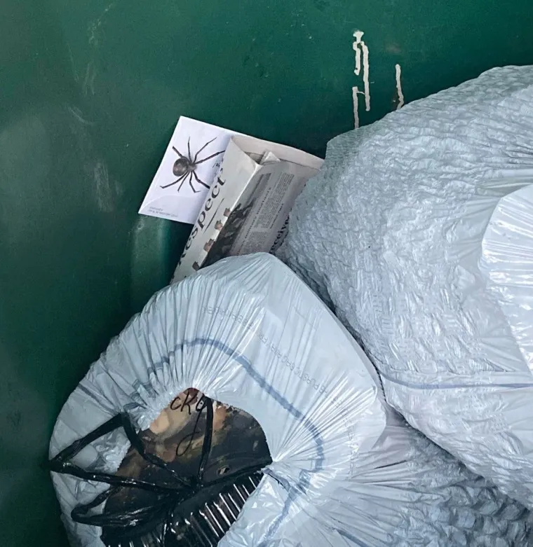 I&scaron;ao sam baciti smeće, ako me sad nije strefilo neće nikad