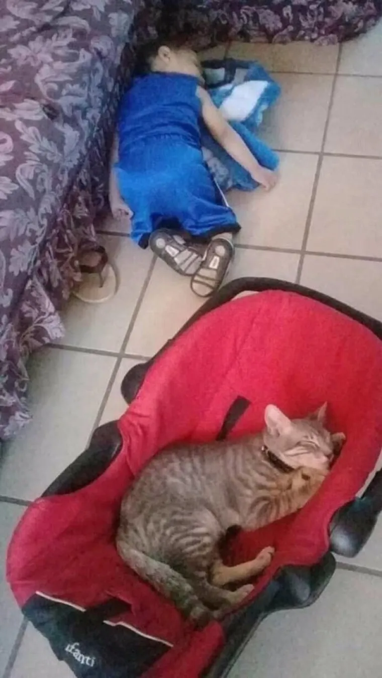 DANAS STVARNO NIJE LAKO BITI RODITELJ: Možda im ne daju mira, ali ih zato bar nasmijavaju do suza