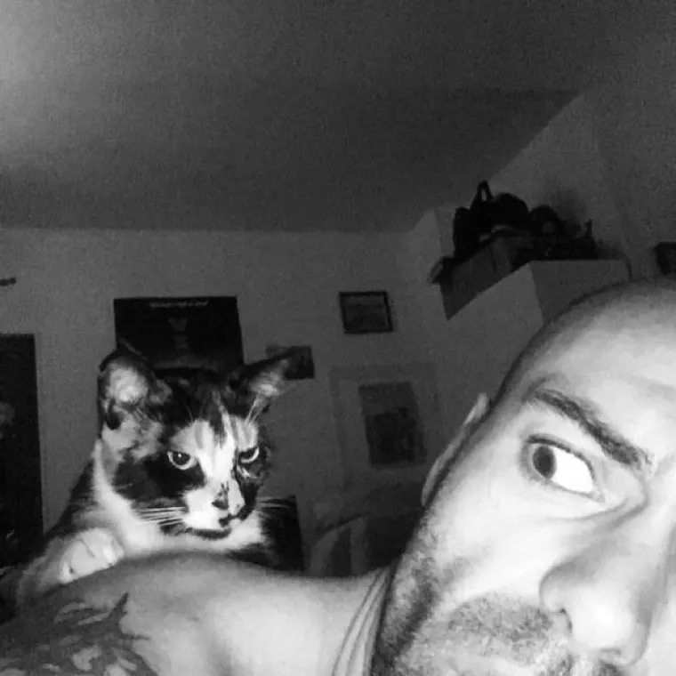 EVO ZA&Scaron;TO JE MOŽDA BOLJE NE LJUTITI MAČKU: Zna ona i može puno vi&scaron;e nego &scaron;to mislite