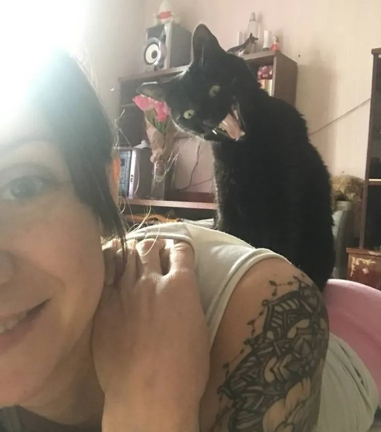 EVO ZA&Scaron;TO JE MOŽDA BOLJE NE LJUTITI MAČKU: Zna ona i može puno vi&scaron;e nego &scaron;to mislite