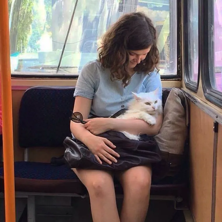 Jesu li ovo najbizarnije fotografije iz javnog prijevoza?