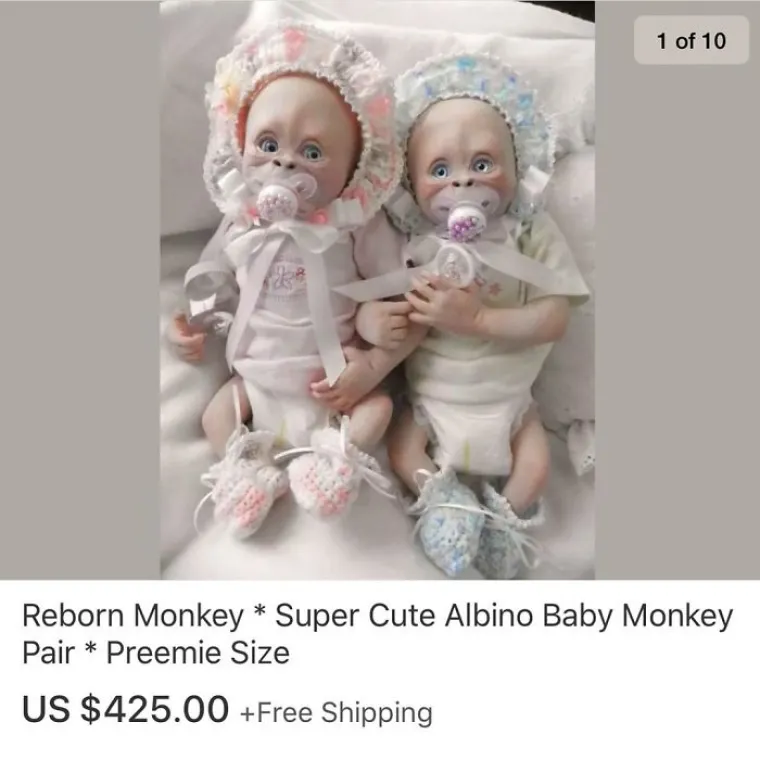 JESU LI OVO NAJČUDNIJE STVARI IKAD PRODANE NA INTERNETU? Ovo je pravi dokaz da svaka roba ima svoga kupca