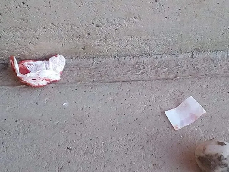 Obitelj iz Bjelovara tvrdi kako im netko ili nešto svakog dana unazad pet godina, na stepenicama ispred ulaza u obiteljsku kuću ostavlja grumene zemlje, sitno kamenje, maramice umrljane krvlju i poruke ispisane na toliko sićušnim komadićima papira da ih je gotovo nemoguće dešifrirati