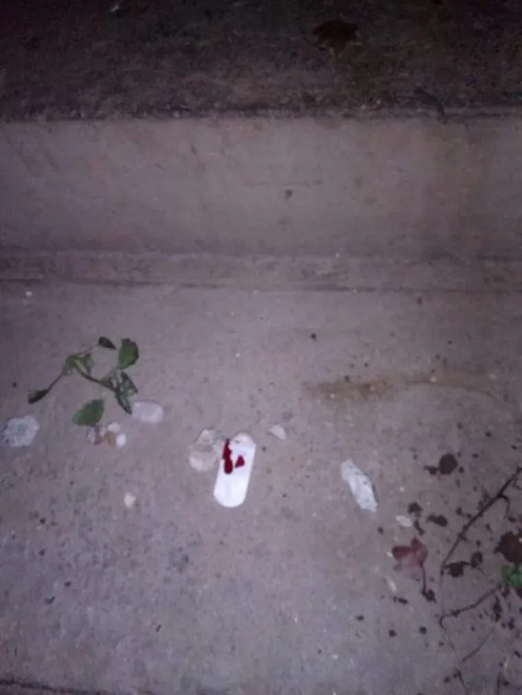 Obitelj iz Bjelovara tvrdi kako im netko ili nešto svakog dana unazad pet godina, na stepenicama ispred ulaza u obiteljsku kuću ostavlja grumene zemlje, sitno kamenje, maramice umrljane krvlju i poruke ispisane na toliko sićušnim komadićima papira da ih je gotovo nemoguće dešifrirati