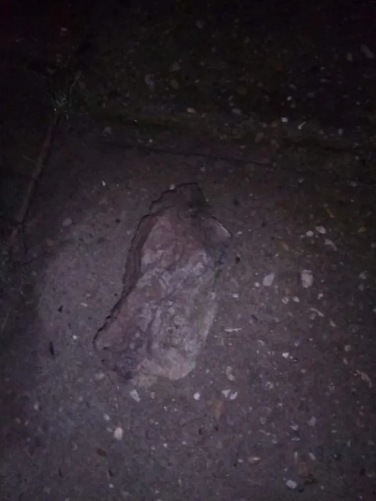 Obitelj iz Bjelovara tvrdi kako im netko ili ne&scaron;to svakog dana unazad pet godina, na stepenicama ispred ulaza u obiteljsku kuću ostavlja grumene zemlje, sitno kamenje, maramice umrljane krvlju i poruke ispisane na toliko siću&scaron;nim komadićima papira da ih je gotovo nemoguće de&scaron;ifrirati