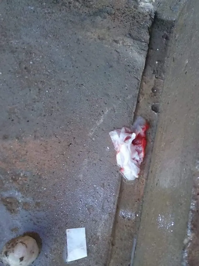 Obitelj iz Bjelovara tvrdi kako im netko ili ne&scaron;to svakog dana unazad pet godina, na stepenicama ispred ulaza u obiteljsku kuću ostavlja grumene zemlje, sitno kamenje, maramice umrljane krvlju i poruke ispisane na toliko siću&scaron;nim komadićima papira da ih je gotovo nemoguće de&scaron;ifrirati