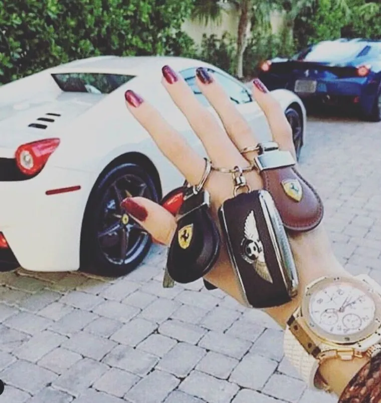 GOVORE ČETIRI JEZIKA, ALI JEDAN SVI RAZUMIJU: Toliko se razmeću bogatstvom da iz čiste obijesti uni&scaron;tavaju rolexe, Philippe Patekove...