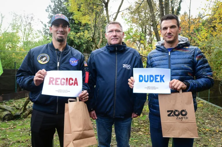 Slatke crvene pandice u zoolo&scaron;kom vrtu dobila su imena: Zvat će se Dudek i Regica