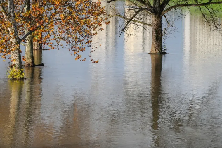 Vodeni val i u Zagrebu: Sava se izlila iz korita