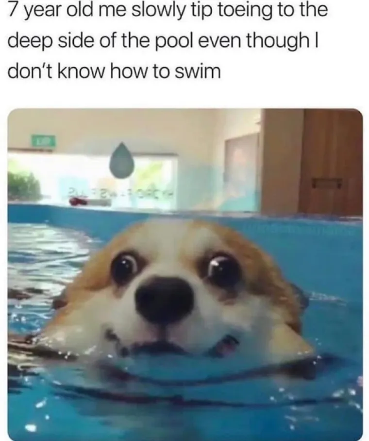 OVO JE TJEDNA DOZA NAJBOLJIH MEMOVA: Inspiraciju su prona&scaron;li u psima, a mi stvarno plačemo od smijeha