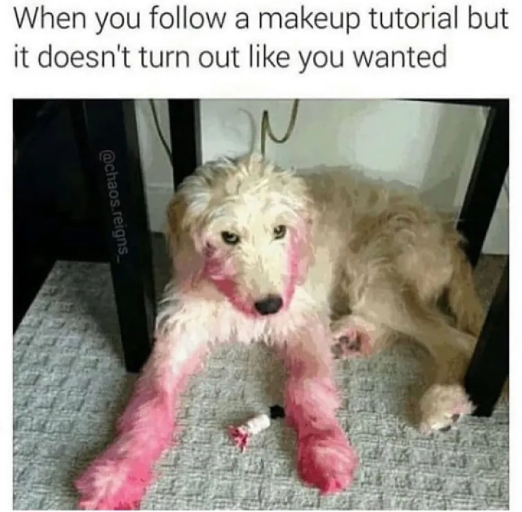 OVO JE TJEDNA DOZA NAJBOLJIH MEMOVA: Inspiraciju su prona&scaron;li u psima, a mi stvarno plačemo od smijeha