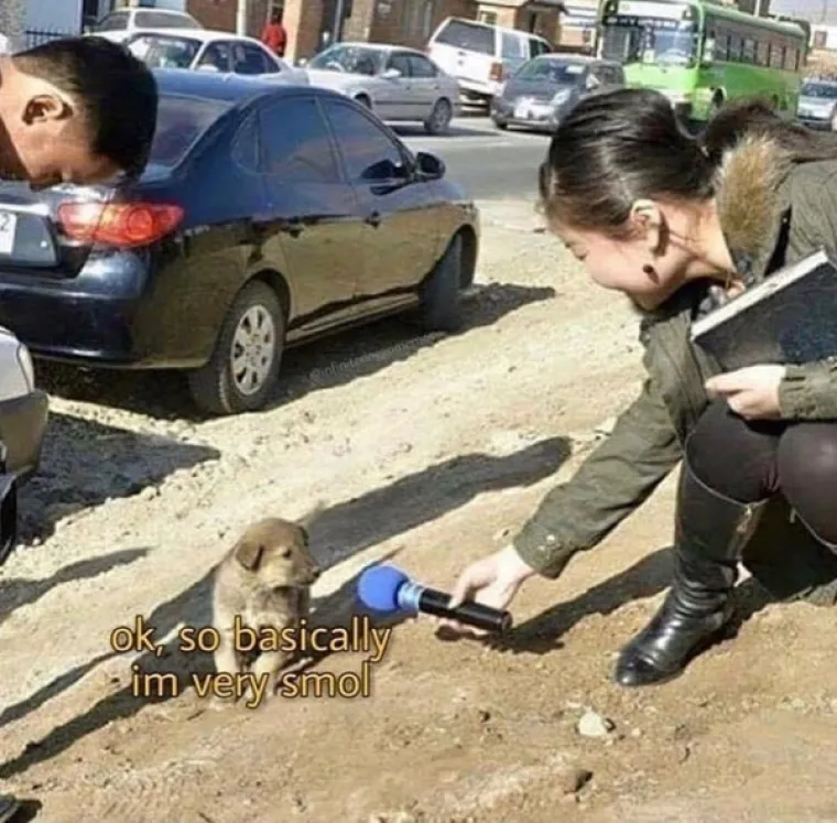 OVO JE TJEDNA DOZA NAJBOLJIH MEMOVA: Inspiraciju su prona&scaron;li u psima, a mi stvarno plačemo od smijeha