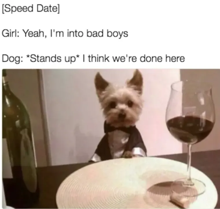 OVO JE TJEDNA DOZA NAJBOLJIH MEMOVA: Inspiraciju su prona&scaron;li u psima, a mi stvarno plačemo od smijeha