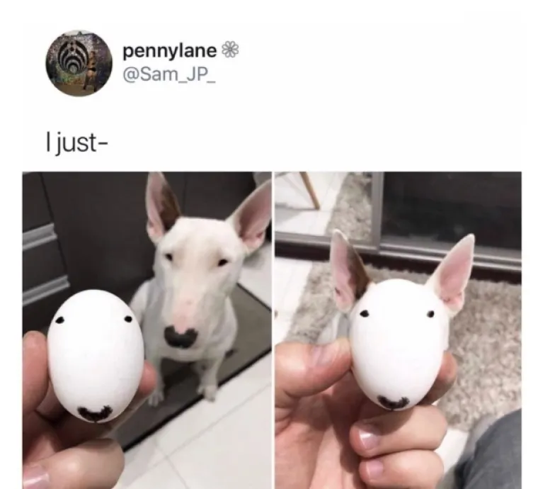 OVO JE TJEDNA DOZA NAJBOLJIH MEMOVA: Inspiraciju su prona&scaron;li u psima, a mi stvarno plačemo od smijeha