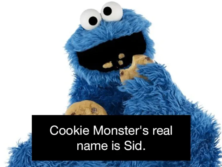 Cookie Monster se zapravo zove Sid.