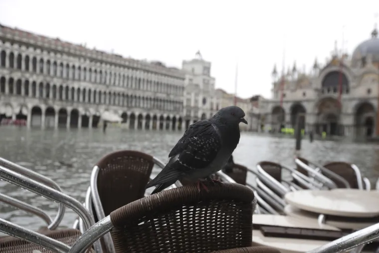 U Veneciji plimni val preko metar i pol: Firenza i Pisa u pripravnosti, hoće li se ponoviti isti scenarij?
