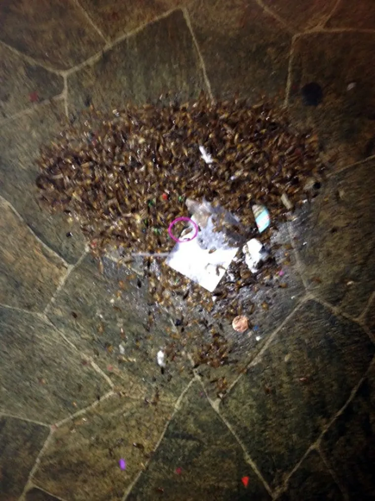 MISLITE DA JE VA&Scaron; STANODAVAC SUMANUT? Pogledajte &scaron;to je sve ovim genijalcima palo na pamet samo kako bi u&scaron;tedjeli