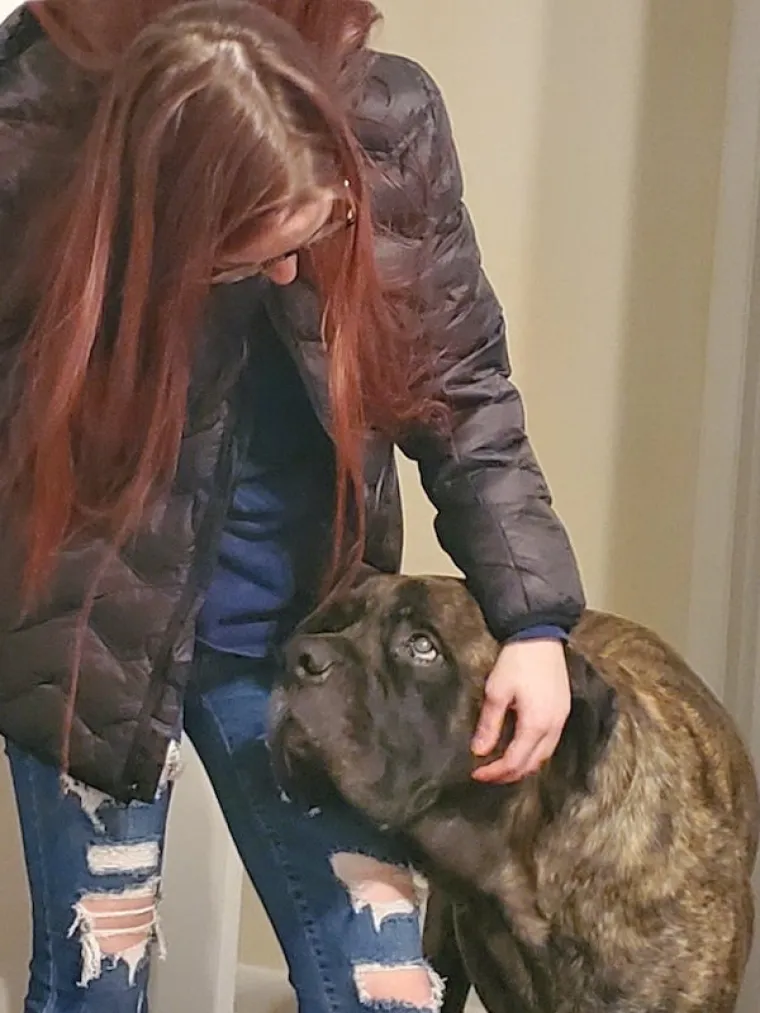 Pas je najbolji čovjekov prijatelj. Ako ikad posumnjate u to, samo pratite s koliko vas ljubavi gleda vaš četveronožni ljubimac. Teško da će vas ijedan čovjek gledati ovako...