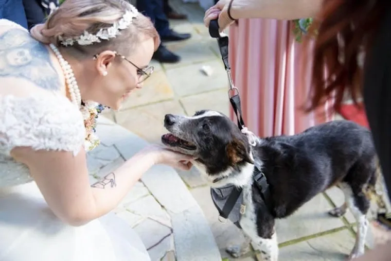 TE&Scaron;KO DA ĆE VAS IJEDAN ČOVJEK OVAKO GLEDATI: Psi uhvaćeni u emotivnim iskazima ljubavi prava su doza slatkoće