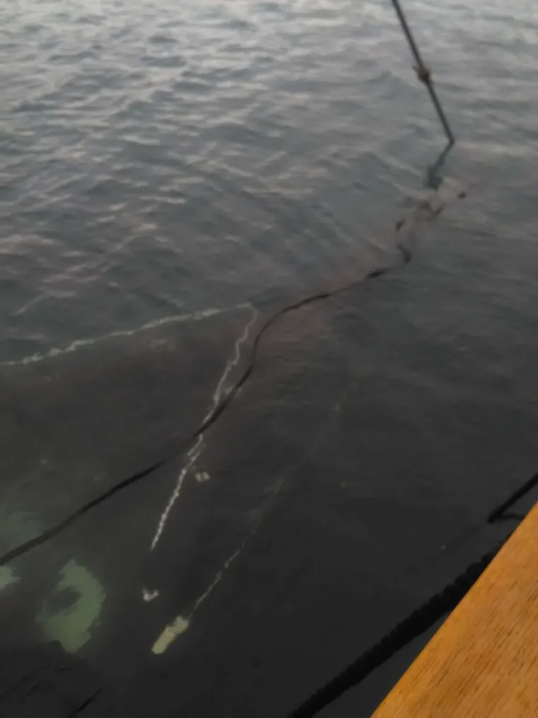 Jedrilica potonula u olujnom nevremenu u Splitu: Požrtvovni ronioci izvadili je iz mora