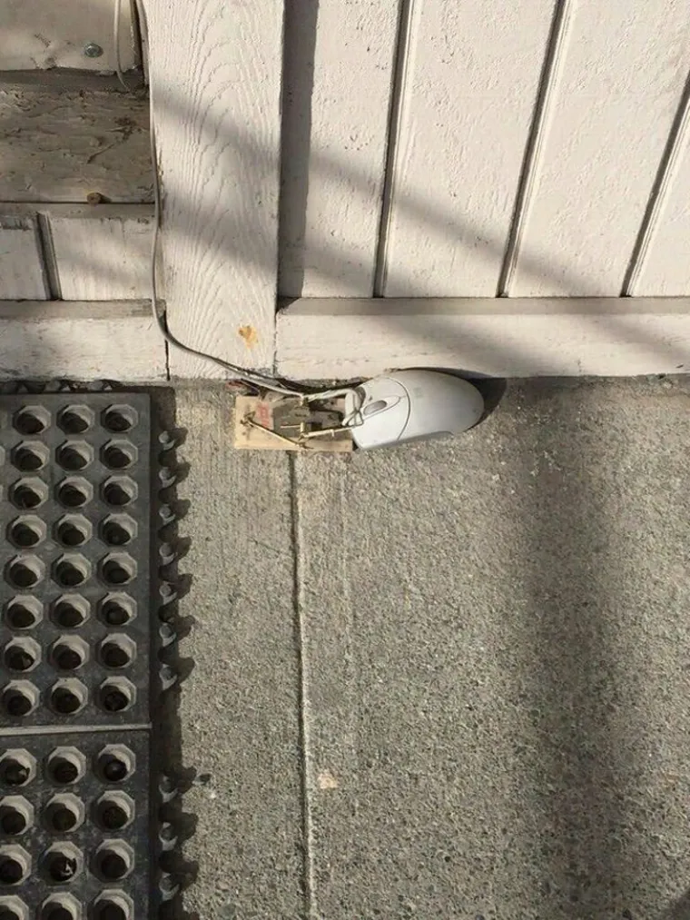 AKO MISLITE DA STE VIDJELI SVE... Ove bizarne situacije natjerat će vas da ponovno preispitate vlastitu logiku