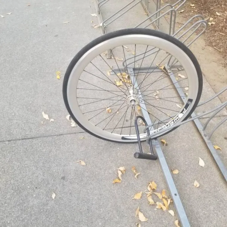 ČINI SE DA NESREĆA NIKAD NE DOLAZI SAMA, ONI TO NAJBOLJE ZNAJU: Stvarno je te&scaron;ko ne biti zlurad kad vidite ove pehiste