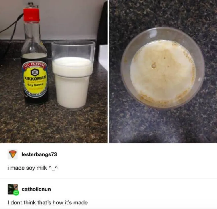 Sasvim je pohvalno kad se ljudi ne pla&scaron;e isku&scaron;avanja novih stvari u kuhinji. Ali pritom je važno koristiti zdrav razum. Ni&scaron;ta od ovoga ne funkcionira, ljudi koji su ovo napravili su gastromonstrumi, a  jedina primjerena kazna bila bi da to moraju i pojesti.  
Sojino mlijeko se ne radi tako da se u kravlje doda bolesno slani sojin umak.