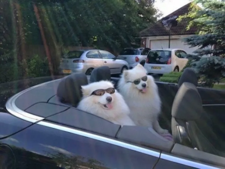 OTKRILI SU KAKO IZGLEDA NJIHOV VIKEND IZ SNOVA: I ne, ne izgleda nimalo kao što ste ga vi vjerojatno zamislili