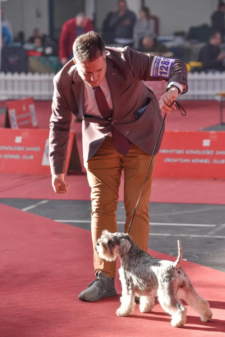 Ovo su neki od natjecatelja.