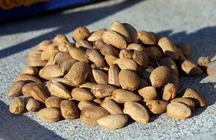 Sadrži omega 3 masne kiseline, važne vitamine, minerale i masti. Budući da je kalorično preporučuje se konzumirati &scaron;aku ora&scaron;astih plodova dnevno.