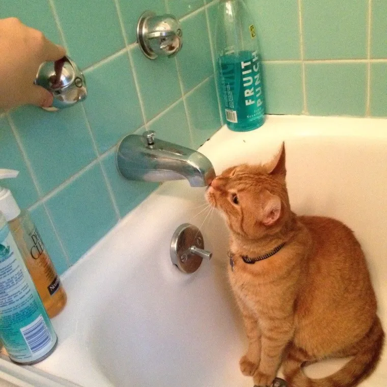 DA IGRAJU RUSKI RULET, MANJE BI RISKIRALI: Jednostavno prizivaju katastrofu, nelagodno je i za gledati